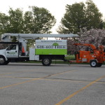 Tree trimming, tree removal, hedge trimming, hedge removal, stump removal, chipping service, pruning, storm work, emergency storm services (including 24/7 phone line, tarping, and priority removals) bucket truck service, snow removal, and salt spreading.